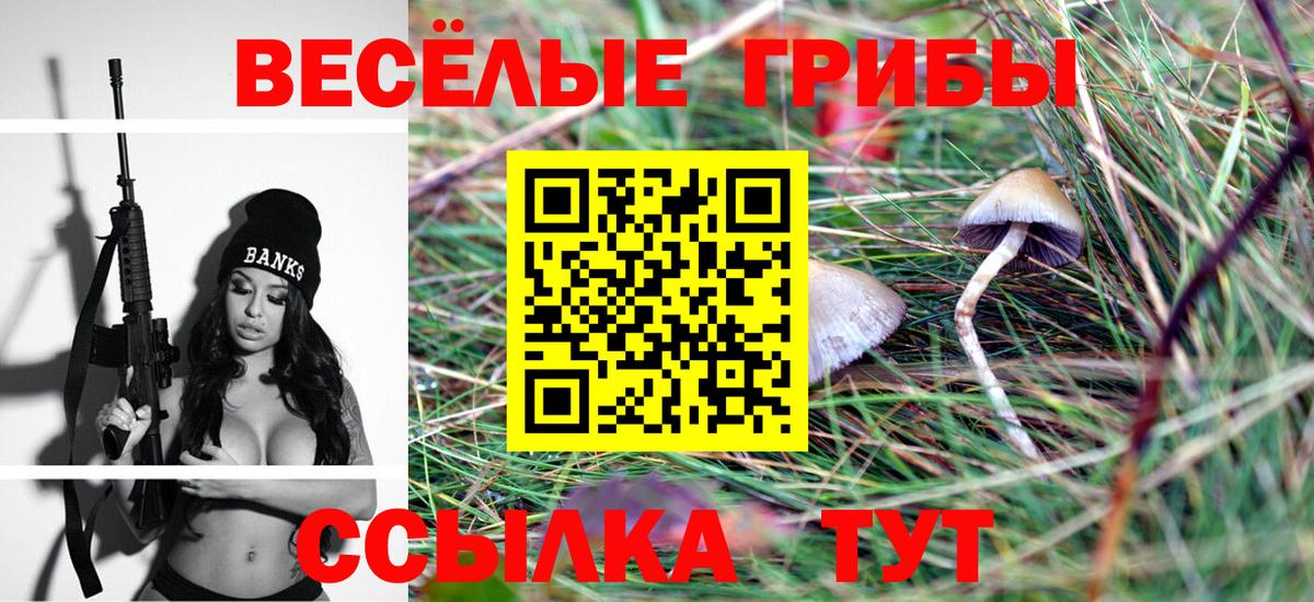 Братск  Псилоцибиновые грибы мицелий  Вход с VPN  Галлюциногенные грибы Psilocybine cubensis 