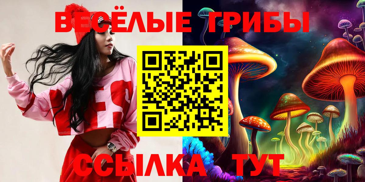 Галлюциногенные грибы ЛСД Братск