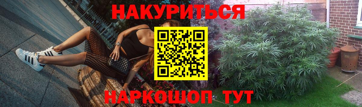 Канабис конопля Братск